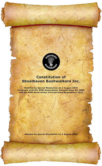 Stylized version of the 2023 SBW Constitution
